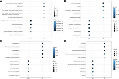 Novel Prognostic Signature for Acute Myeloid Leukemia: Bioinformatics Analysis of Combined CNV-Driven and Ferroptosis-Related Genes